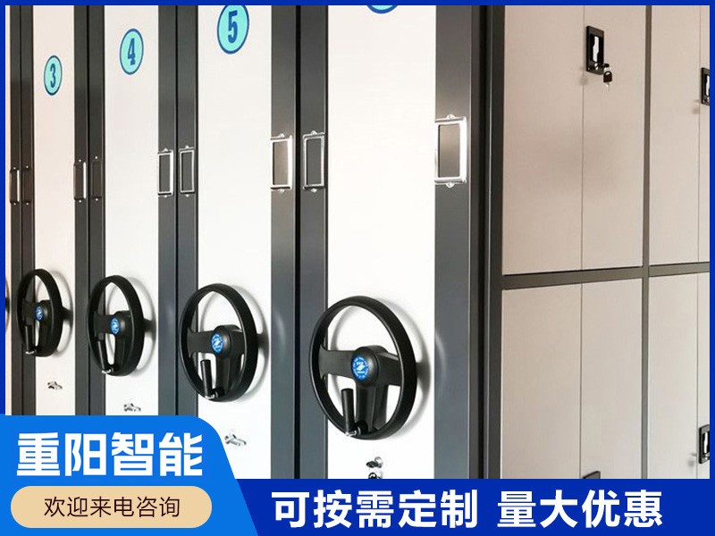 延边会计凭证密集柜